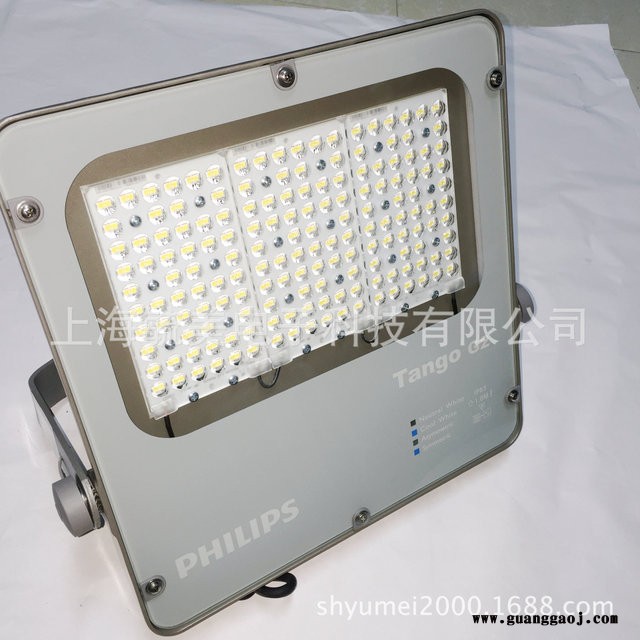 飞利浦BVP281投光灯 LED BVP281 80W泛光灯图2