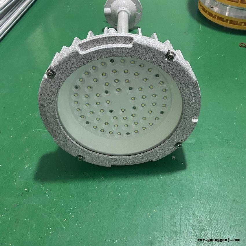 仓库LED防水防尘防腐节能灯  FG6207-LED30C2 侧壁安装 30W防水防腐泛光灯厂家图1