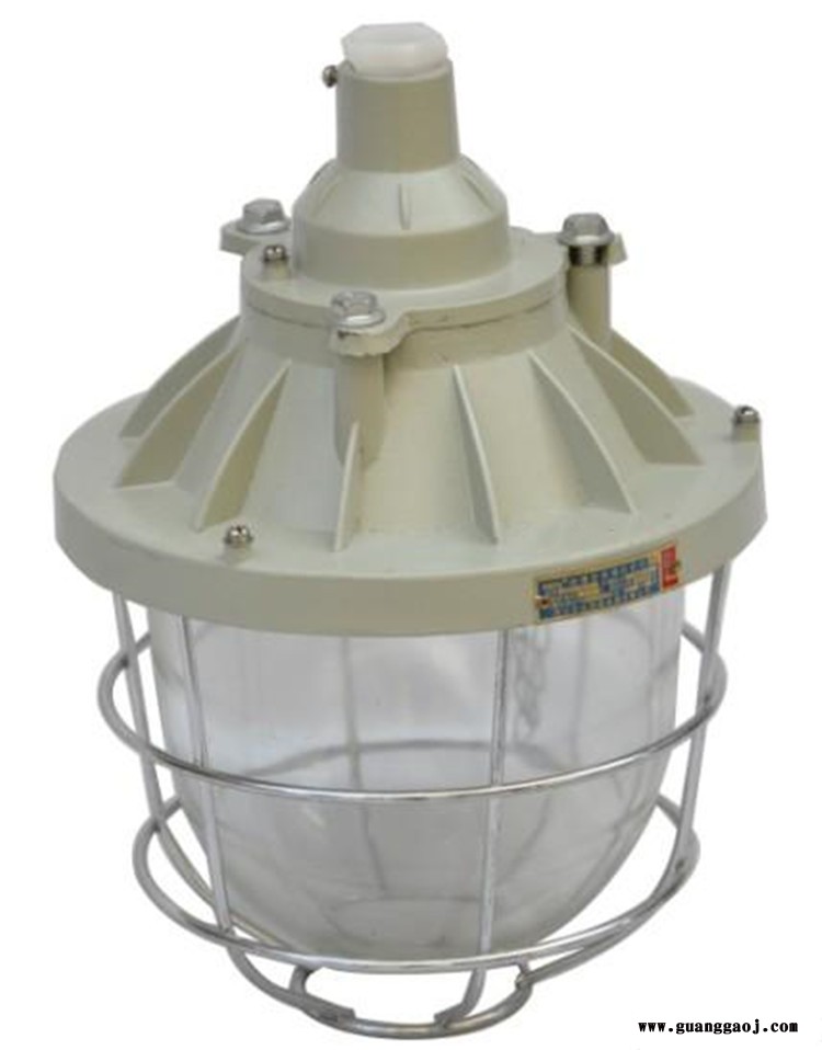 LED投光灯生产厂家 山东LED投光灯品牌 睿进光源多型号图2