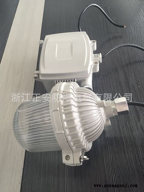 正安防爆厂家直销 NFE9112防眩应急泛光灯 应急照明灯 金卤灯泛光应急照明图3