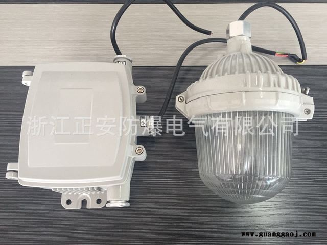 正安防爆厂家直销 NFE9112防眩应急泛光灯 应急照明灯 金卤灯泛光应急照明图2