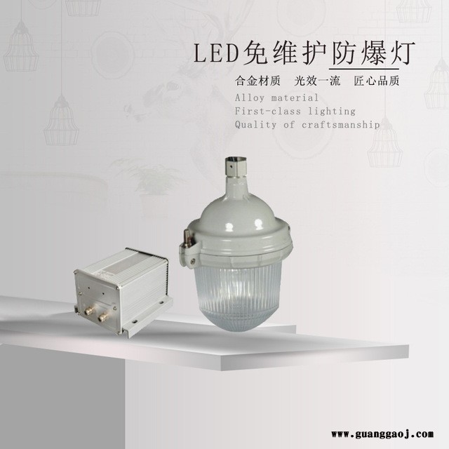 正安防爆厂家直销 NFE9112防眩应急泛光灯 应急照明灯 金卤灯泛光应急照明图1