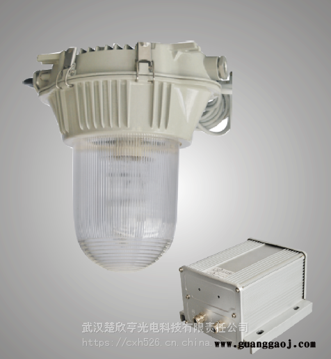 NFE9180防眩应急泛光灯海洋王NFE9180-J35防眩应急泛光灯图1