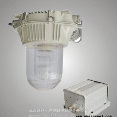 NFE9180防眩应急泛光灯海洋王NFE9180-J35防眩应急泛光灯