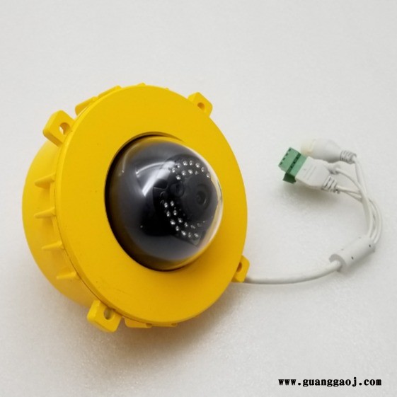 BFC8118 防爆摄像泛光灯图3