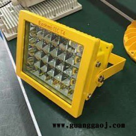 隆业电气-Philips/飞利浦强光防爆泛光灯月底冲业绩厂家生产-隆业供应图1