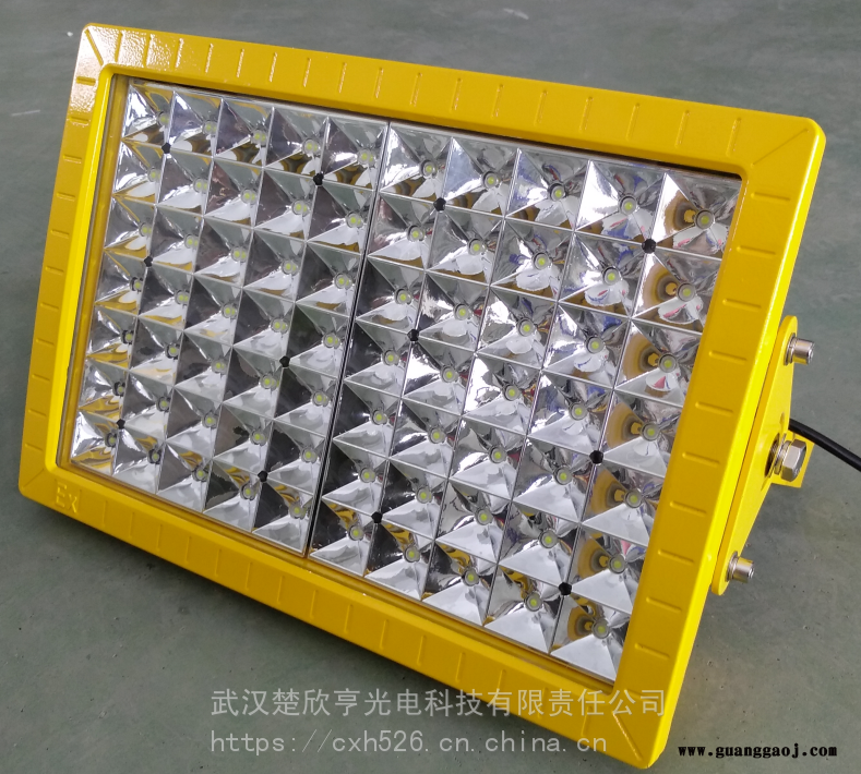 火电厂核电站LED防爆投光灯300W200WLED防爆投光灯100WLED防爆灯图2