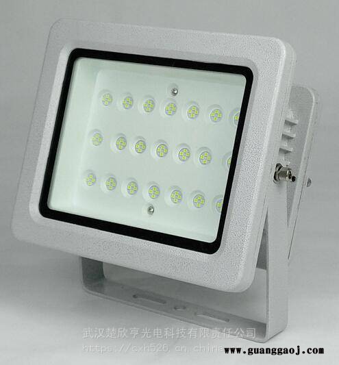 华荣GT311投光灯GT311-XL80LED投光灯80W220V图3