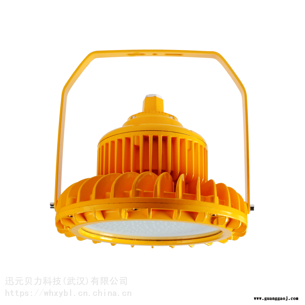 BLD202,BLD202,热电厂吊杆式防爆泛光灯BLD202,BLD202,油漆仓管吊式防爆泛光灯图1