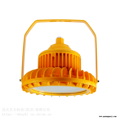 BLD202,BLD202,热电厂吊杆式防爆泛光灯BLD202,BLD202,油漆仓管吊式防爆泛光灯