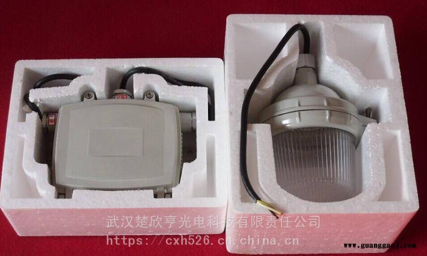 NFE9112A防眩应急泛光灯NFE9112B防眩应急泛光灯图2