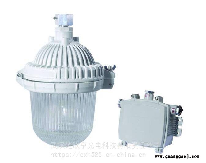 NFE9112A防眩应急泛光灯NFE9112B防眩应急泛光灯图1