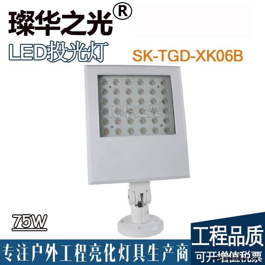 璨华照明SK-TGD-XK06B LED投光灯户外防水投射灯大功率投光灯图2