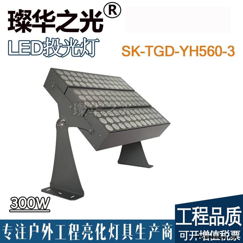 璨华照明SK-TGD-YH430 LED投射灯200W新款方形窄光束投光灯银河系列投光灯图2