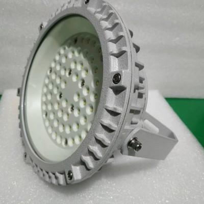 BLD205-100W外场强光防爆泛光灯-BLD205-100W内场强光防爆泛光灯-应急灯