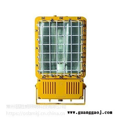 华荣GTD5130防爆泛光灯BAD503投光灯路灯华荣GTD5130250W防爆泛光灯BAT5