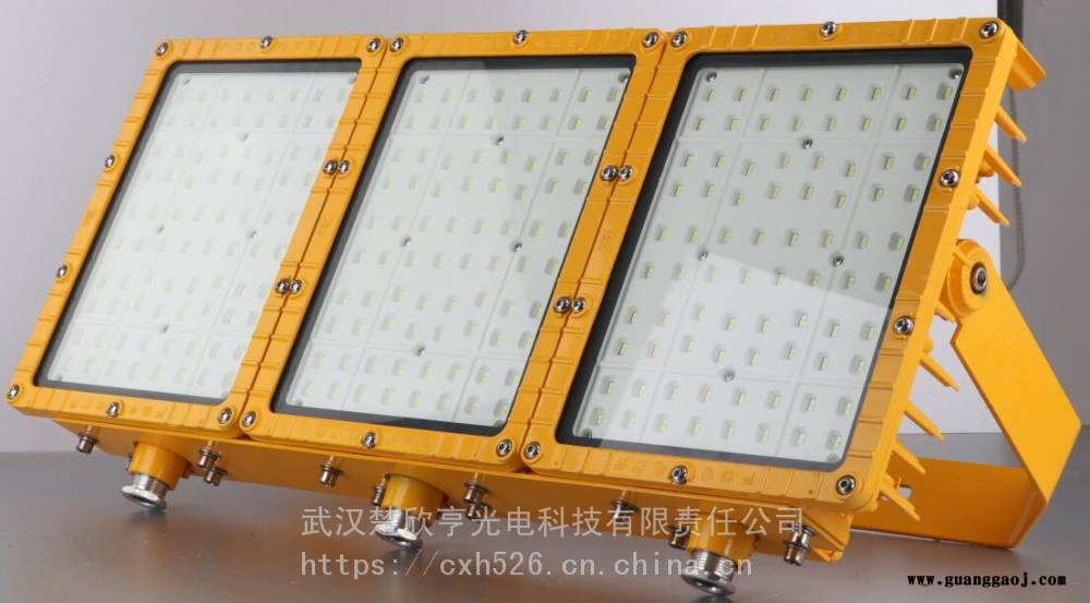华荣600W投光灯华荣RLEEXL5333LED投光灯IP65图1
