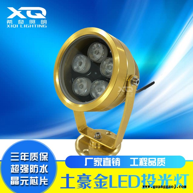 户外防水3W5W土豪金色投射灯庭院花园亮化led投光灯照树灯图2
