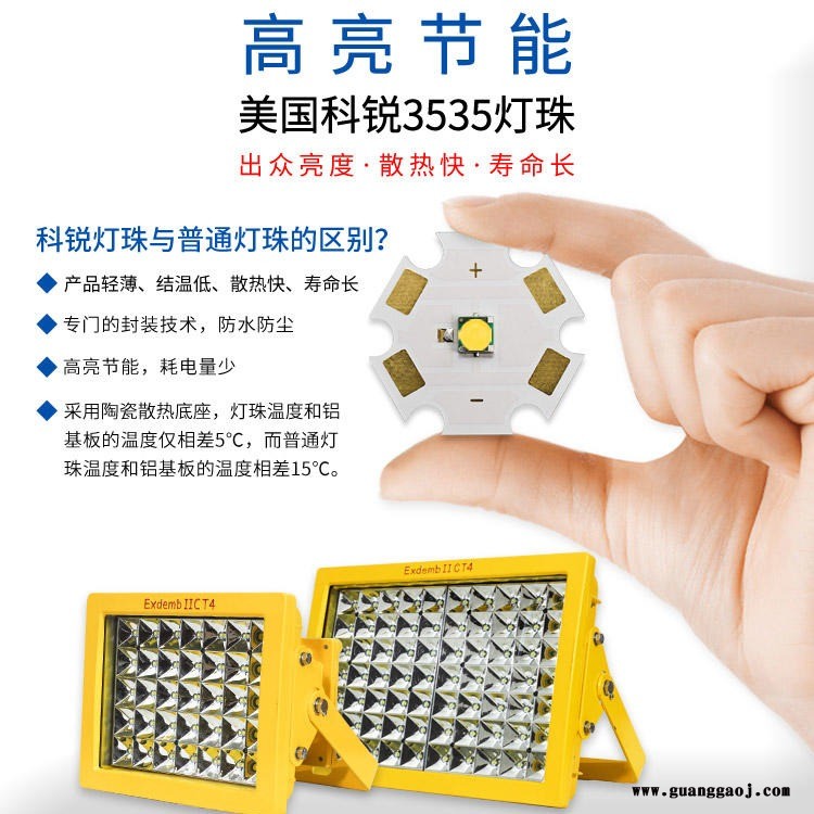 Philips/飞利浦直销热销防爆油站灯CCD97泛光灯外场防爆节能巷道灯超速发货图1