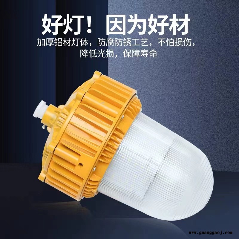 led防眩灯三防灯防爆灯NFC9180泛光灯仓库厂房户外防水车间平台灯图2