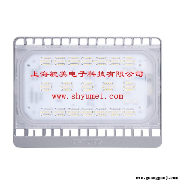 飞利浦LEDTempo投光灯BVP161/50W图1