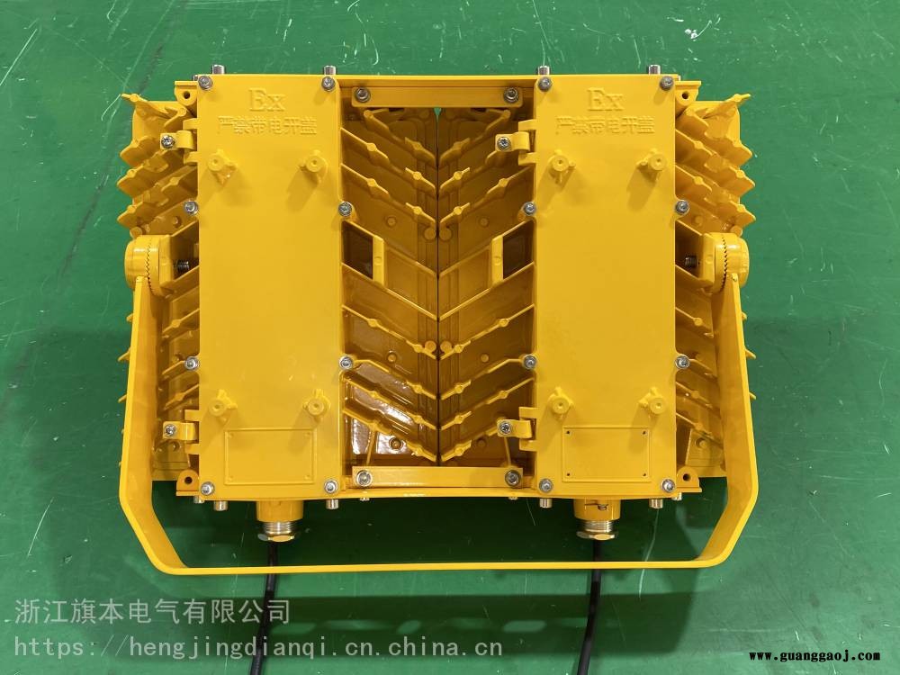 防爆免维护LED泛光灯_壁挂式防爆灯_LED光源AC220V