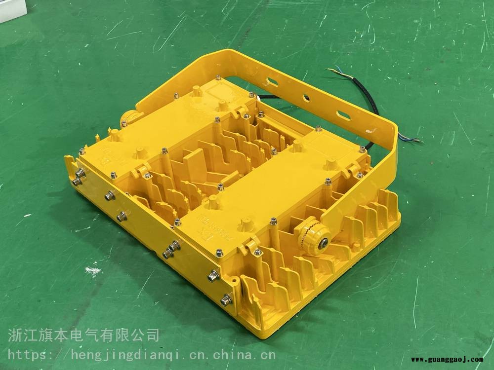 防爆免维护LED泛光灯_壁挂式防爆灯_LED光源AC220V图3