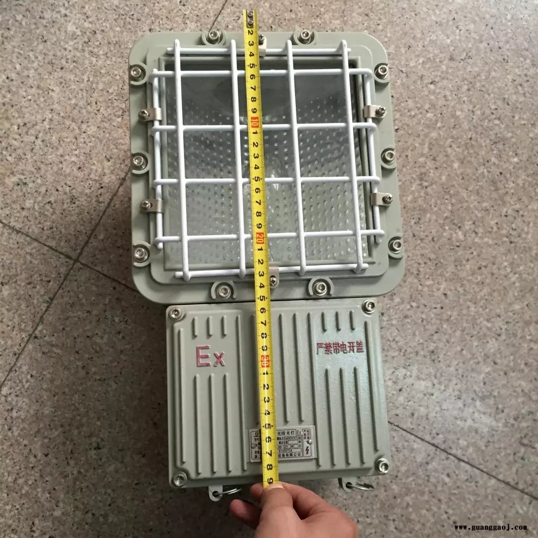 专业生产 BAT52--L175系列防爆泛光灯，浙江乐清天网防爆厂家6.5折供应
