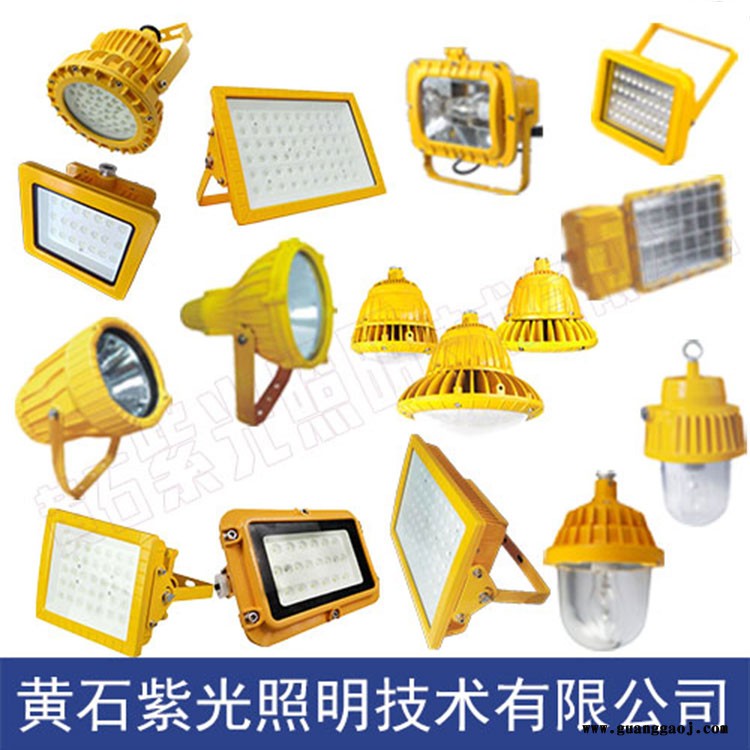 紫光照明GT9043 工矿厂用LED投光灯图2
