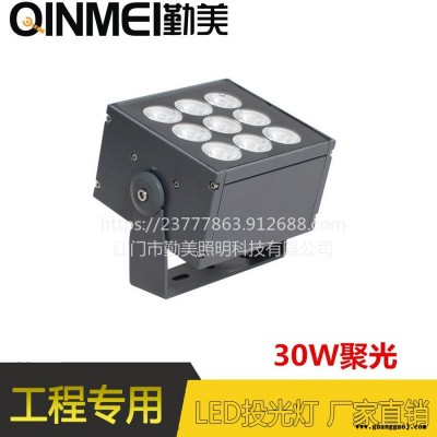 CREE投光灯聚光照墙投光灯30W防水投光灯公园亮化投光灯生产厂家多种色彩投光灯