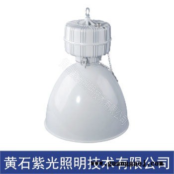 GF9046LED泛光灯 250W 紫光照明高顶灯图1
