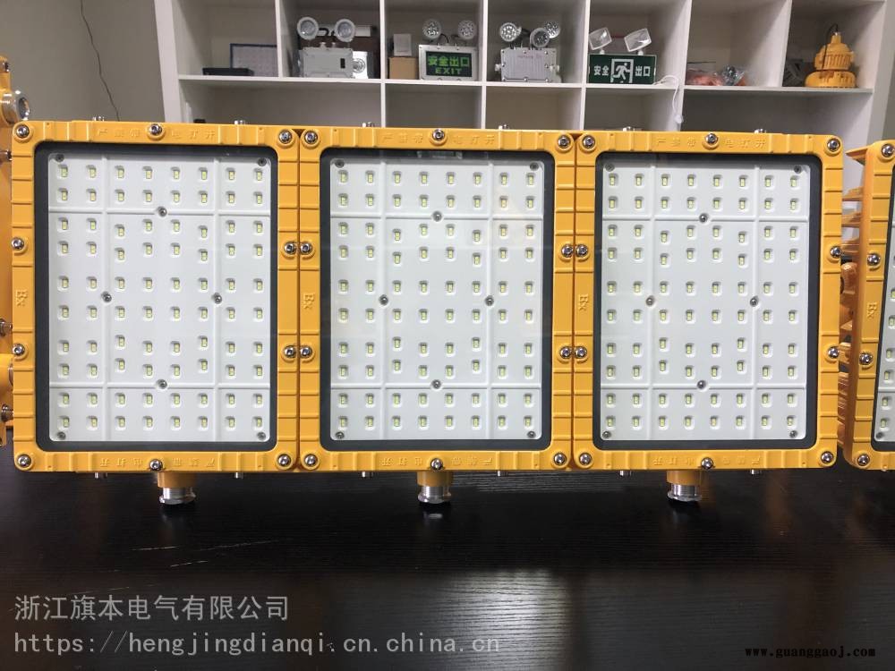 防爆LED工厂灯250W 洗煤厂煤棚用LED防爆泛光灯图2