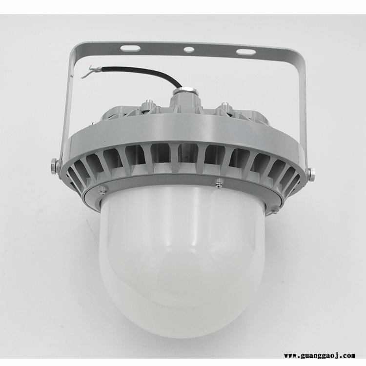 防爆灯led泛光灯NFC9186A系列油站灯化工厂房仓库吸顶吊杆灯30W50w80w100W图2