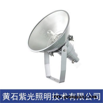GT9403行车灯/紫光防震投光灯400W工厂