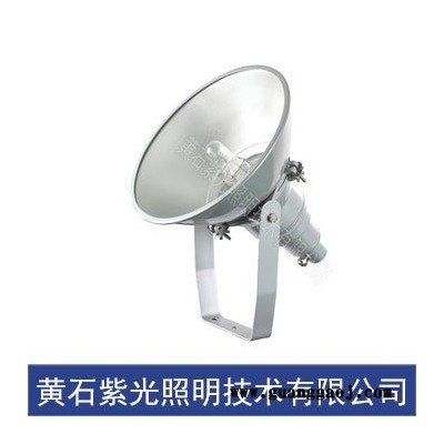 GT9403行车灯/紫光防震投光灯400W工厂