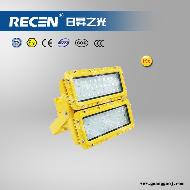 日昇之光 100W LED防爆泛光灯 吊杆式 化工厂使用图4