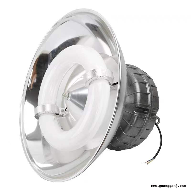 高低频无极灯100w150w200w250w工厂灯矿灯投光灯天棚灯网球场吊灯图2