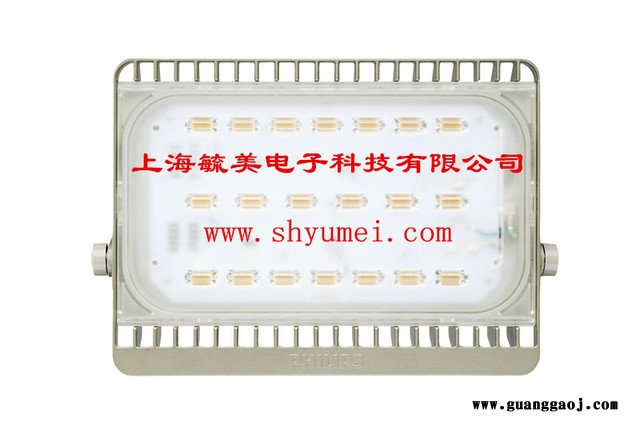 飞利浦BVP161/70W LED泛光灯图5