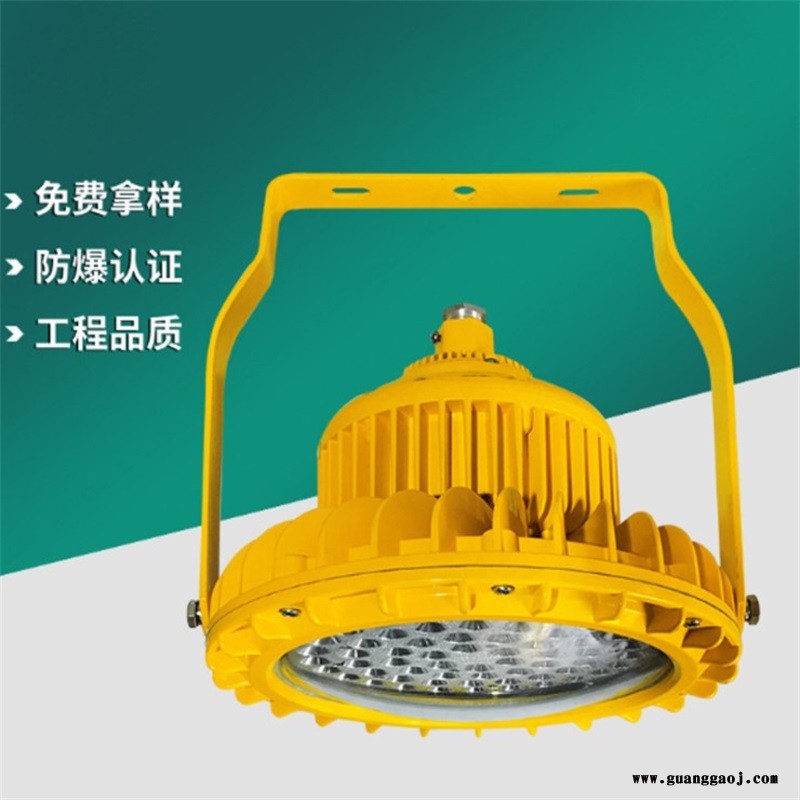 led防爆灯加油站化工厂车间应急灯防水投光灯厂家批发30w图2