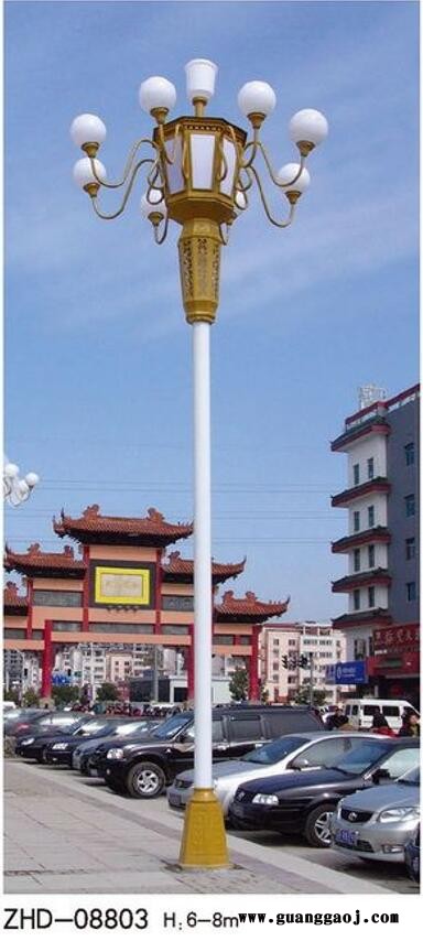 供应黑龙江省高杆灯，投光灯，玉兰灯，中华灯等道路照明设施，全国发货，图2