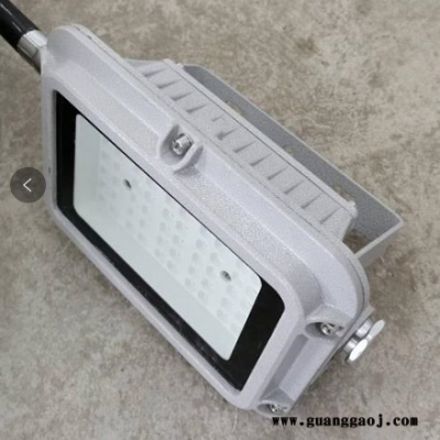 山东 ZBL8101-I型 防爆免维护泛光灯40w  厂家直销