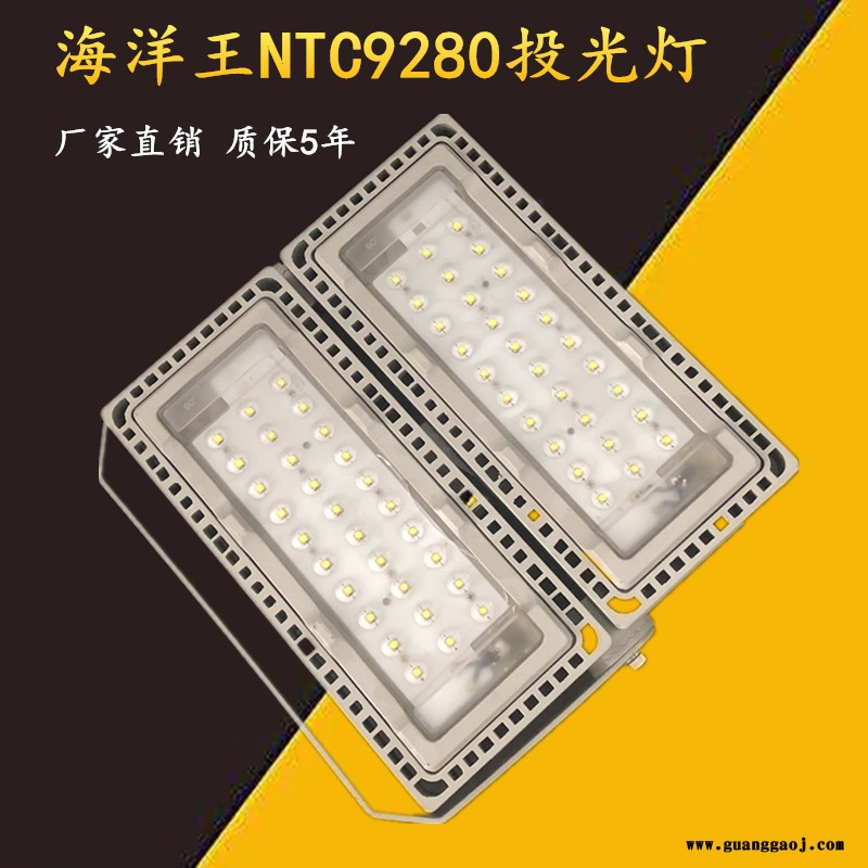 洲创电气变电站外场NTC9280-LED投光灯  行车防震LED投光灯 海洋王LED模组投光灯 高顶厂房泛光照明灯图2