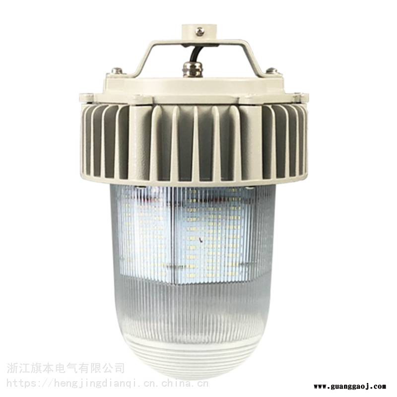 电厂水泥厂焦煤厂50W壁式80W吊杆100W立式防眩泛光灯图2