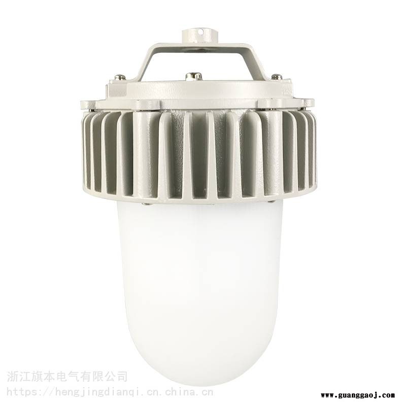 电厂水泥厂焦煤厂50W壁式80W吊杆100W立式防眩泛光灯图1