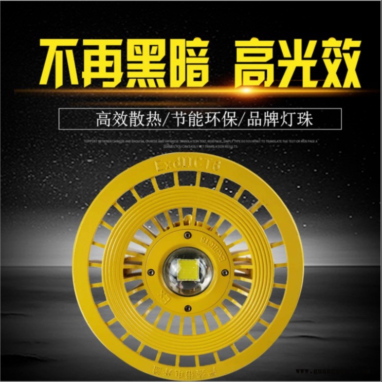 Philips/飞利浦销防爆LED10W-120W照明灯大功率圆形隔爆型节能泛光灯图1