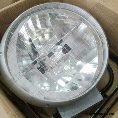 飞利浦足球场泛光灯 PHILIPS MVF403 MHN-LA 1000W/842/956 体育场馆大功率投光灯