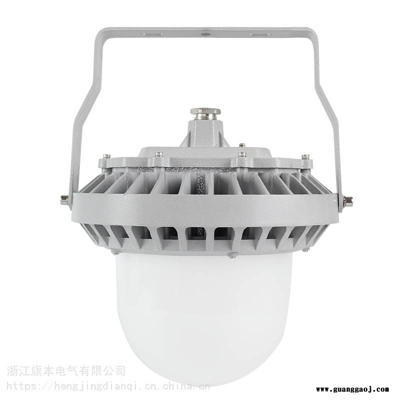三防照明灯_50WLED防水防尘灯_70W电厂泛光灯图2