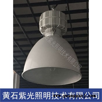 GT9406高顶灯/紫光GT9406防眩应急泛光灯图2