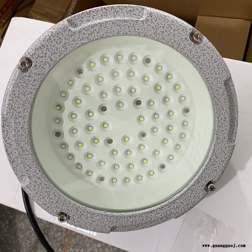 脱硫泵房LED防爆照明灯_100WLED护栏式防爆吊杆灯_脱硫泵房防爆投光灯厂家图2
