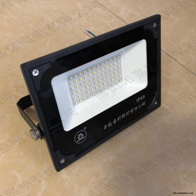 上海亚明LED泛光灯 ZY609 20W 30W 50W 100W 150W 200W 满天星投光灯